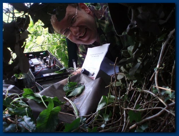 600x449 pixels (133K)